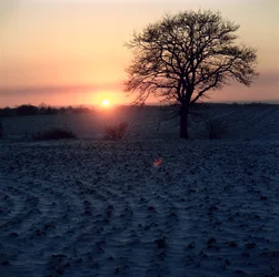 Atardecer de invierno, Essex